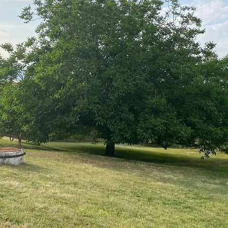 Nyaraló Charmante Maison Xviiieme Renovee Avec Piscine Et Terrasse, Proche Riviere Et Pistes Cyclables - Fr-1-426-99 Fontenay-le-Comte