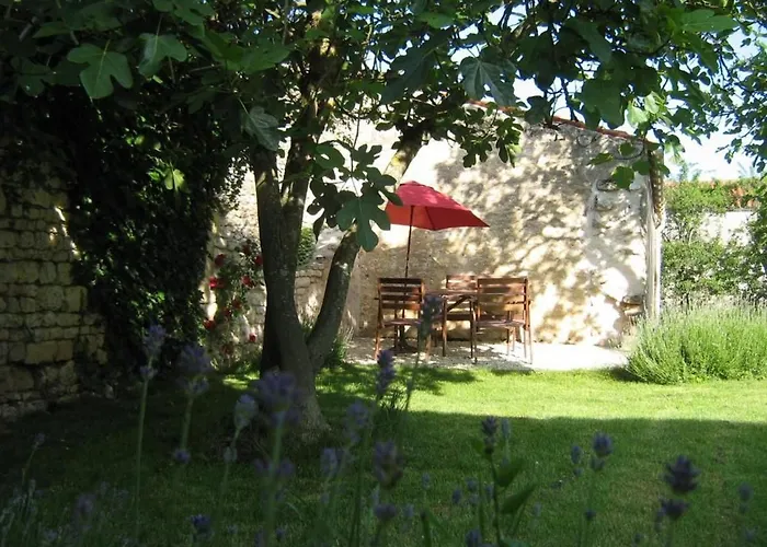 Charmante Maison Xviiième Rénovée Avec Piscine Et Terrasse, Proche Rivière Et Pistes Cyclables - Fr-1-426-99 * Fontenay-le-Comte