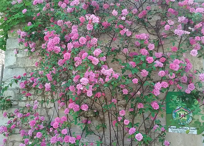 Charmante Maison Xviiième Rénovée Avec Piscine Et Terrasse, Proche Rivière Et Pistes Cyclables - Fr-1-426-99 * Fontenay-le-Comte
